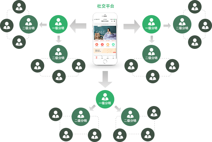 建立蜂窝状裂变式分销网络
